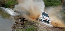  Volkswagen    WRC       